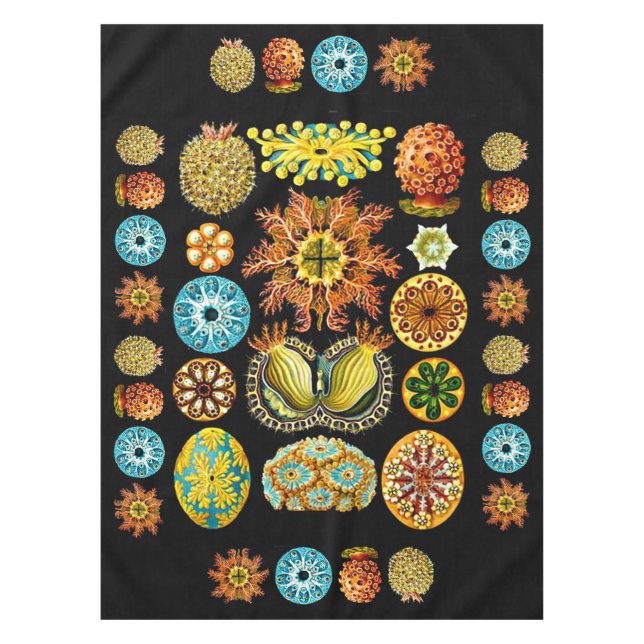 sea life sea creatures print tablecloth (Front)