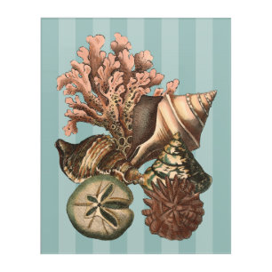 Sea Life Silhouette Acrylic Print