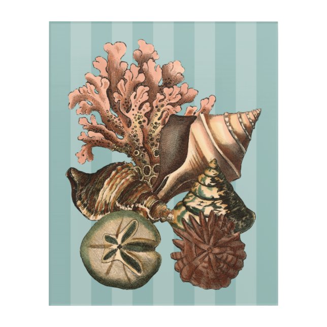 Sea Life Silhouette Acrylic Print (Front)