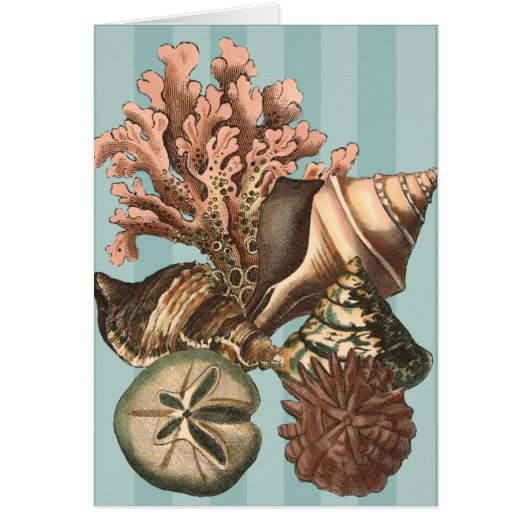 Sea Life Silhouette Cards (Front)
