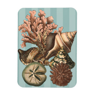 Sea Life Silhouette Magnet