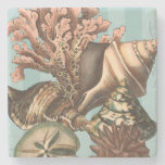 Sea Life Silhouette Stone Coaster