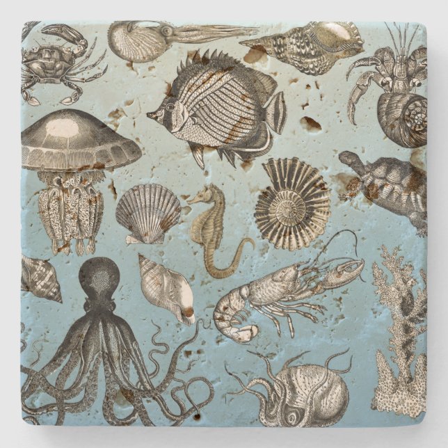 Sea Life  Stone Coaster (Front)