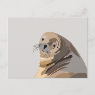 Sea Lion Animal Art