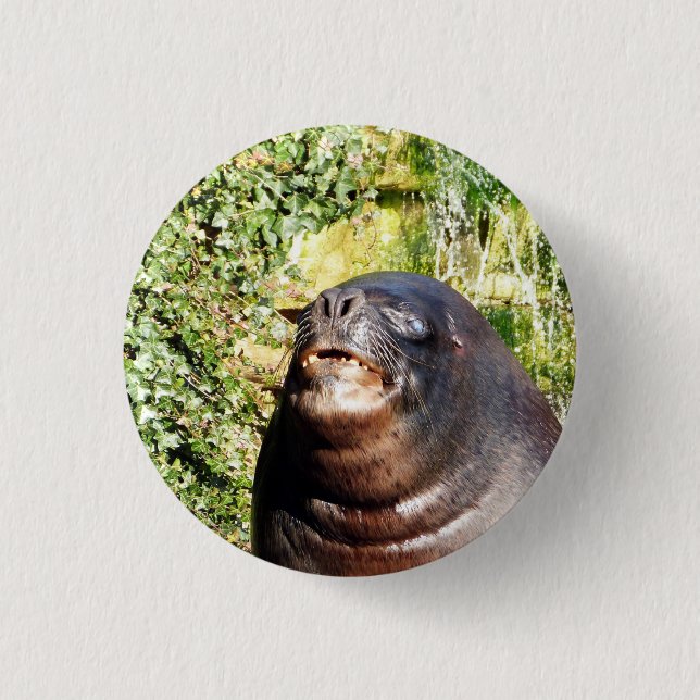 SEA LION   BUTTON (Front)