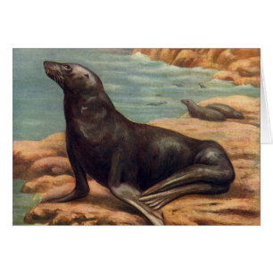 Sea Lion by the Seashore, Vintage Marine Mammals