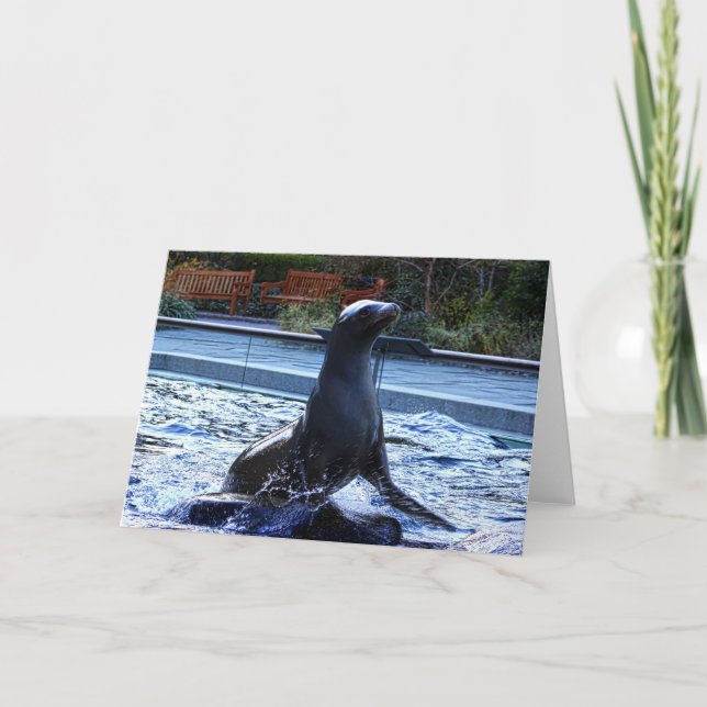 Sea Lion Card (Front)
