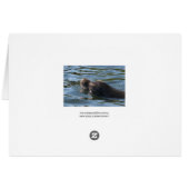 Sea Lion Cards (Back Horizontal)