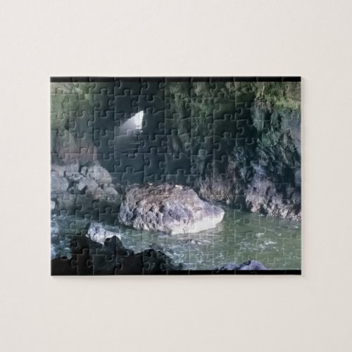 Sea Lion Cave OR Jigsaw Puzzle