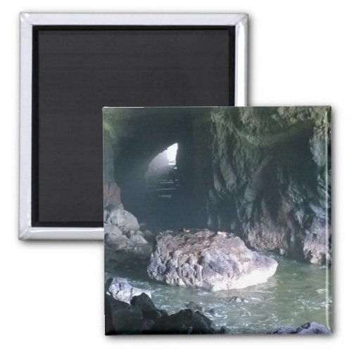 Sea Lion Cave OR Magnet