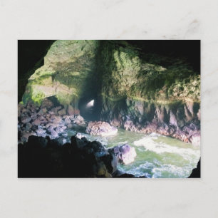 Sea Lion Cave, OR Postcard