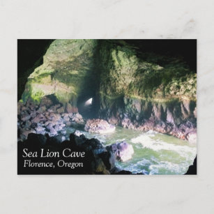 Sea Lion Cave, OR Postcard