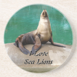 Sea Lion Coaster