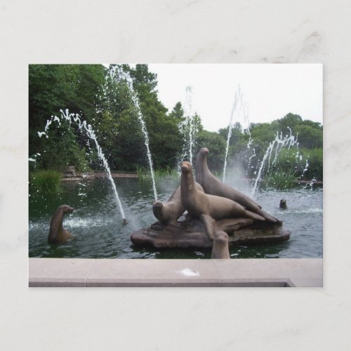 Sea Lion Fountain Postcard