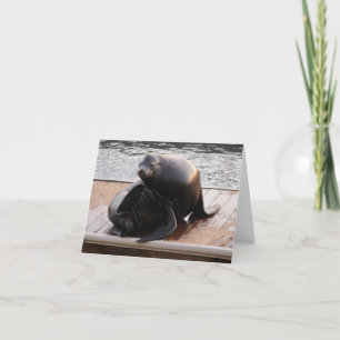 Sea lion Greeting card