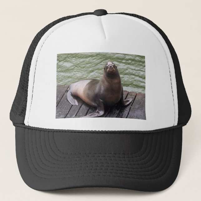 Sea Lion Hat (Front)