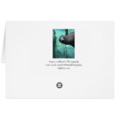 Sea lion Hi Cards (Back Horizontal)