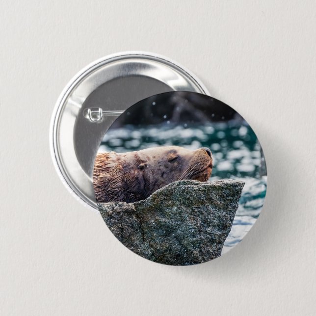 Sea Lion In Resurrection Bay, Alaska Button (Front & Back)