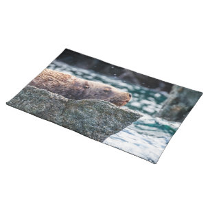 Sea Lion In Resurrection Bay, Alaska Cloth Placemat