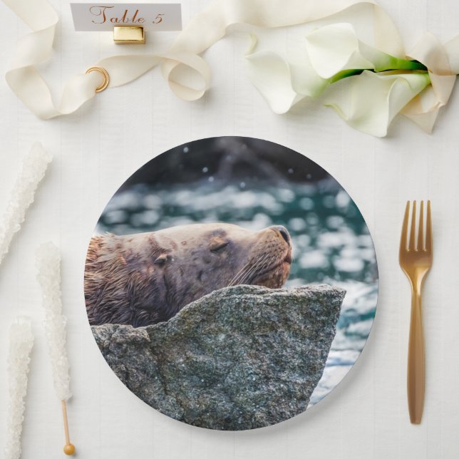 Sea Lion In Resurrection Bay, Alaska Paper Plates (Wedding)