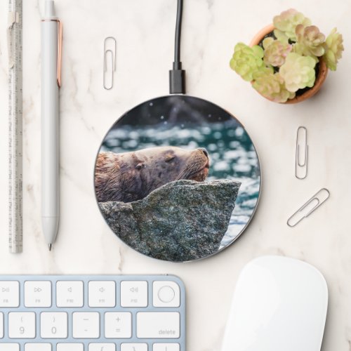 Sea Lion In Resurrection Bay Alaska Wireless Charger