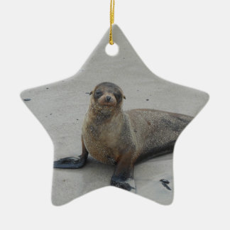 Sea Lion in the Galapagos Islands!! Ceramic Ornament