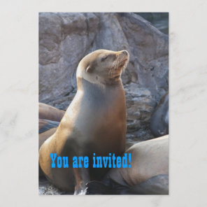 Sea Lion Invitation