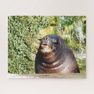 SEA LION JIGSAW PUZZLE