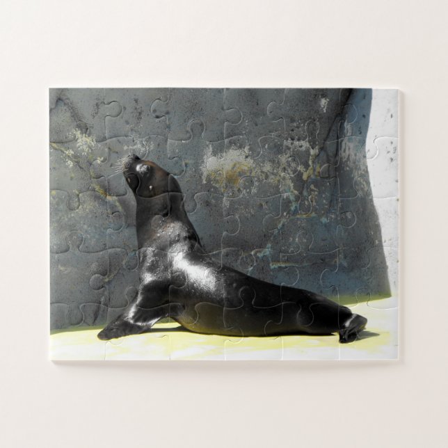 Sea lion jigsaw puzzle (Horizontal)