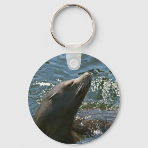 Sea Lion Keychain
