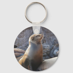 Sea Lion Keychain