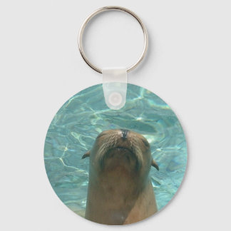 Sea Lion Keychain