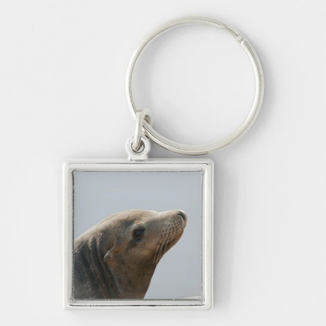 Sea Lion Keychain (Front)