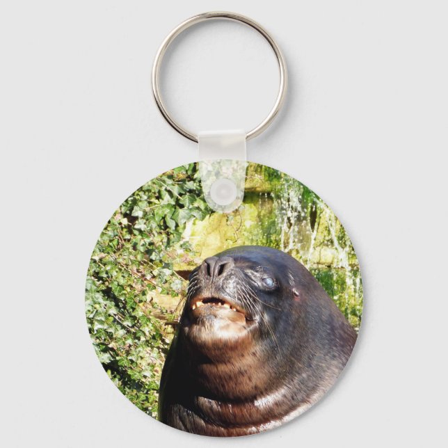 SEA LION   KEYCHAIN (Front)