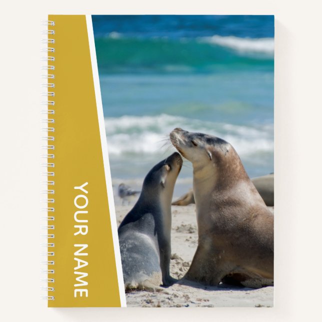 Sea Lion Mother & Pup Beach Australia, Gold Notebook (Front)