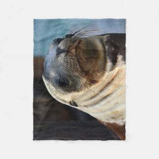 Sea Lion Portrait Fleece Blanket