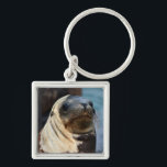 Sea Lion Portrait Keychain<br><div class="desc">A sea lion took a moment to pose for his portrait in Avila Beach,  California. Decorate your keys with this dapper critter today!</div>