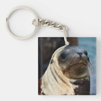 Sea Lion Portrait Keychain