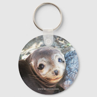 Sea lion pup, Isla Las Plazas, Galapagos Keychain