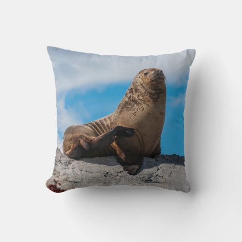 Sea Lion Resting on the Rocks Throw Pillow