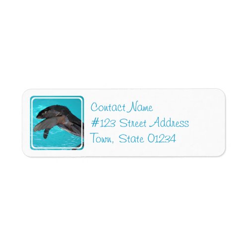 Sea Lion Return Address Label