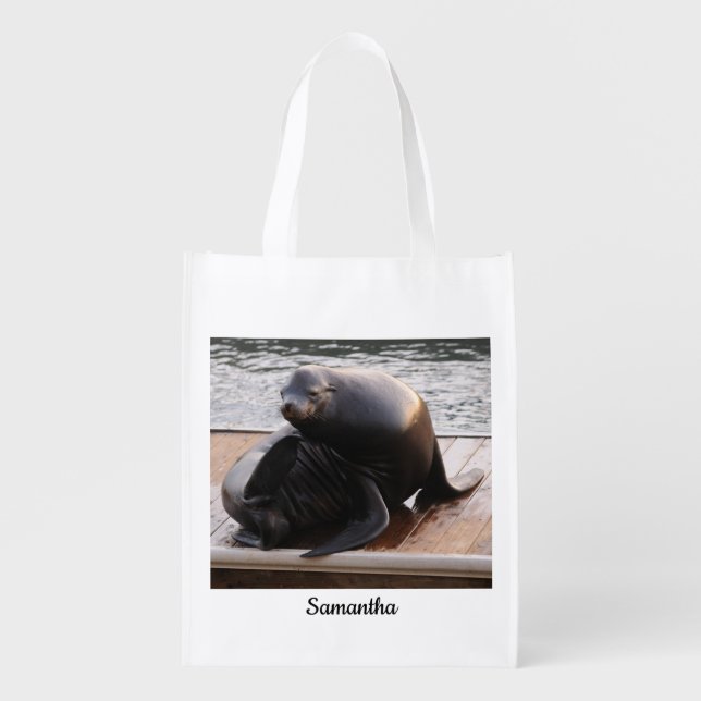 Sea Lion Reusable shopping bag (Front)