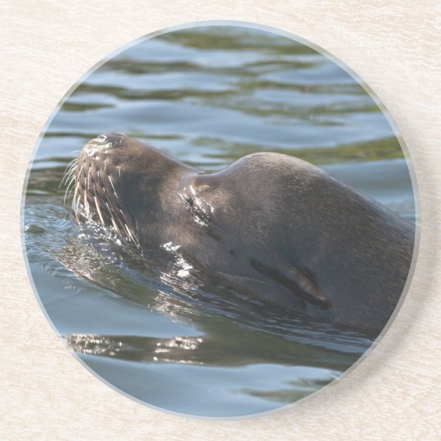 Sea Lion Sandstone Coaster (Front)