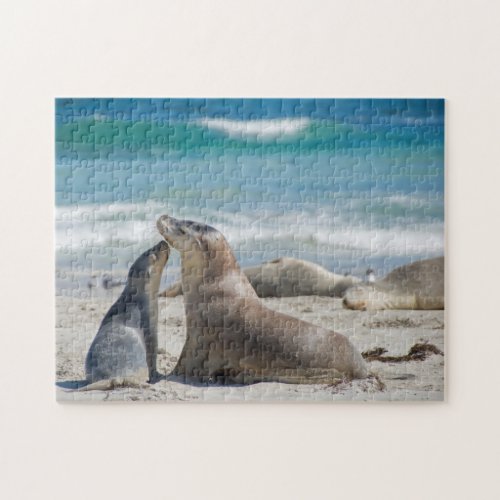 Sea lion sealion cute baby pup kids 252 jigsaw puzzle