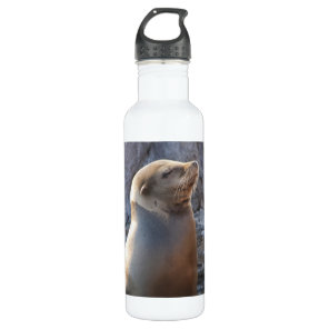 Sea Lion Stainless Steel Water Bottle