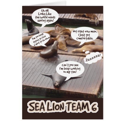 Sea Lion Team Six Cards (Front)