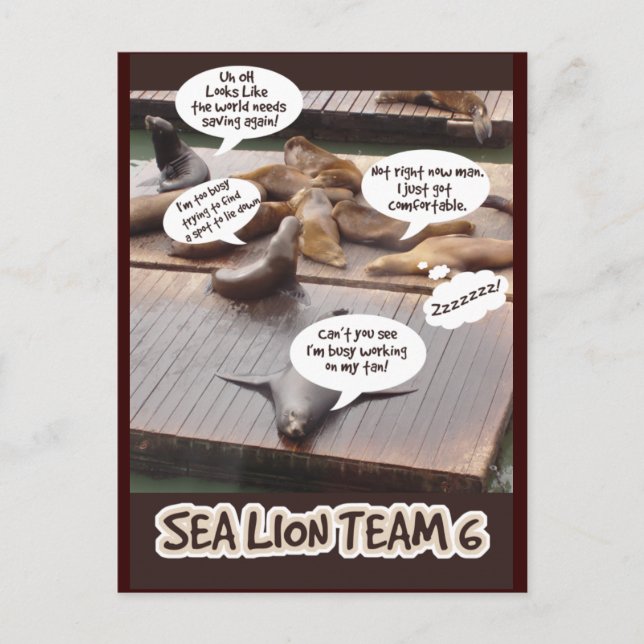 Sea Lion Team Six Postcard (Front)