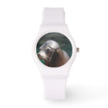 Sea Lion with a Cute Face Watch