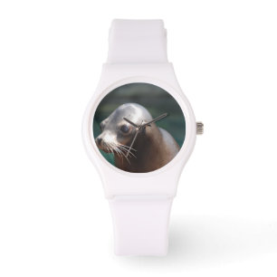 Sea Lion with a Cute Face Watch