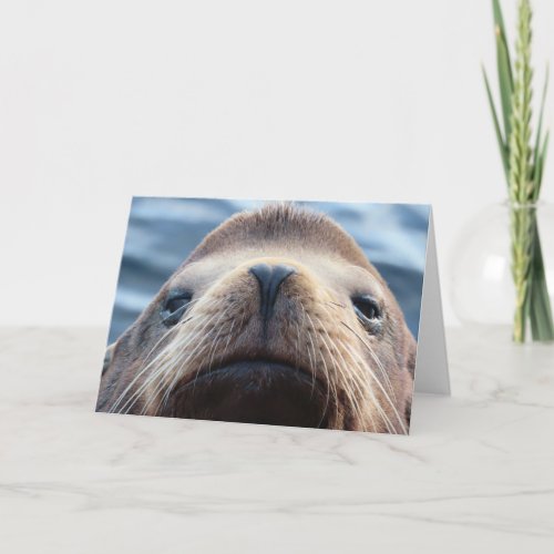 Sea Lion with a Heart Shaped Nose Card